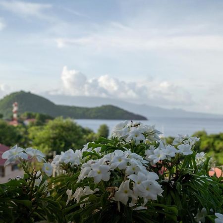 Bungalow Anse Figuier Terre-De-Haut Bagian luar foto
