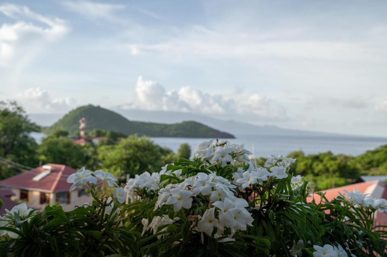 Bungalow Anse Figuier Terre-De-Haut Bagian luar foto