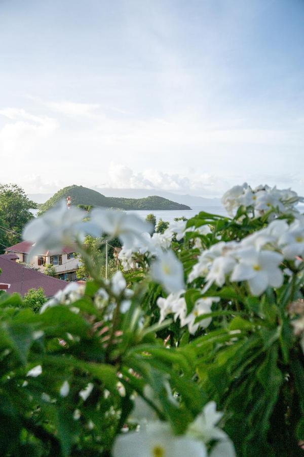 Bungalow Anse Figuier Terre-De-Haut Bagian luar foto