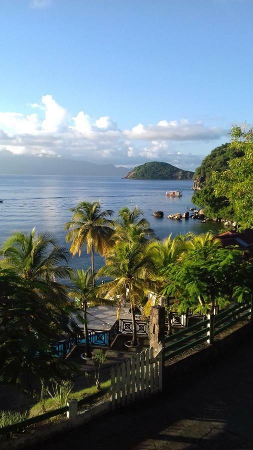 Bungalow Anse Figuier Terre-De-Haut Bagian luar foto