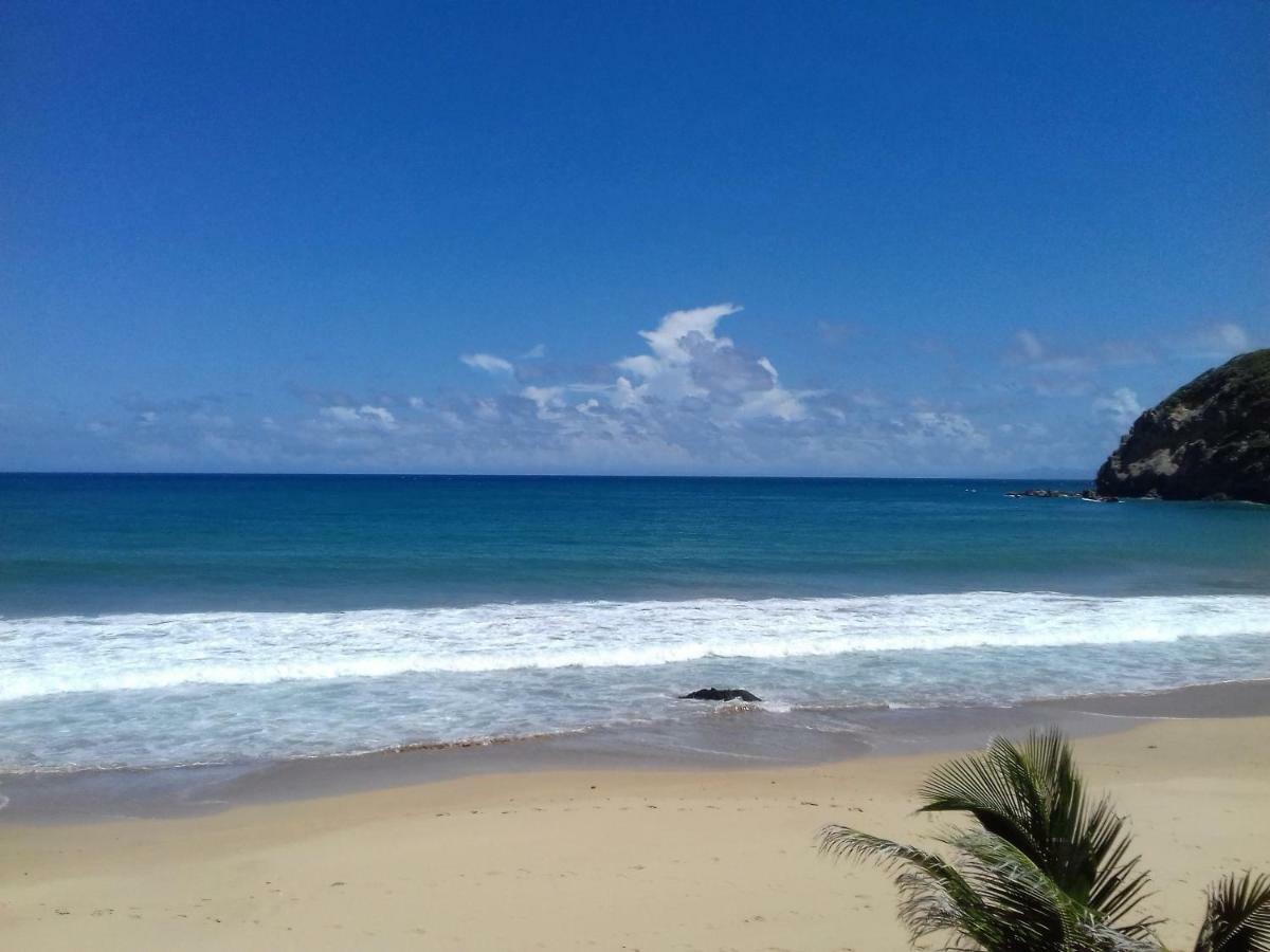 Bungalow Anse Figuier Terre-De-Haut Bagian luar foto